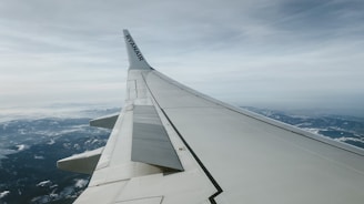 A view of an airplane wing with a logo, set against a backdrop of cloudy skies and a landscape of mountains partially covered in snow, suggesting a flight over a mountainous region.