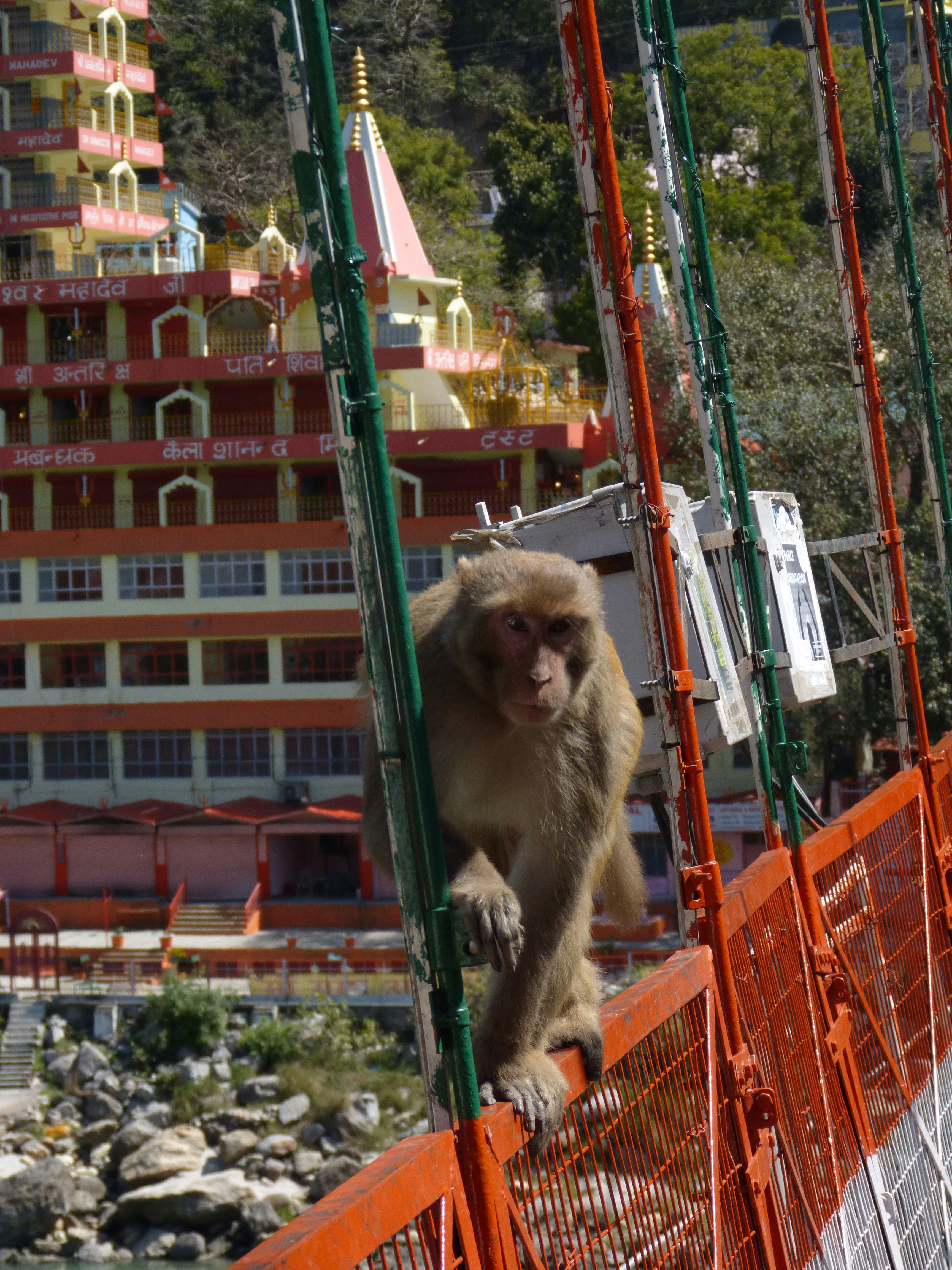 Inde : est-ce dangereux en 2026 ? Vrai vs fantasmes