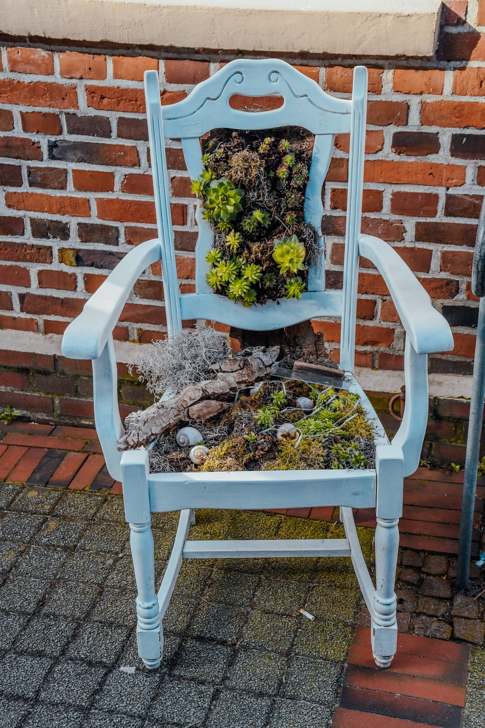 a blue chair with moss growing on it