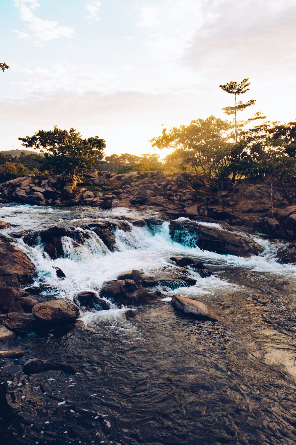 a river running through a lush green forest