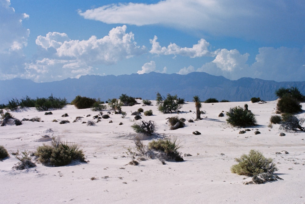 a desert landscape with a mountain range in the background