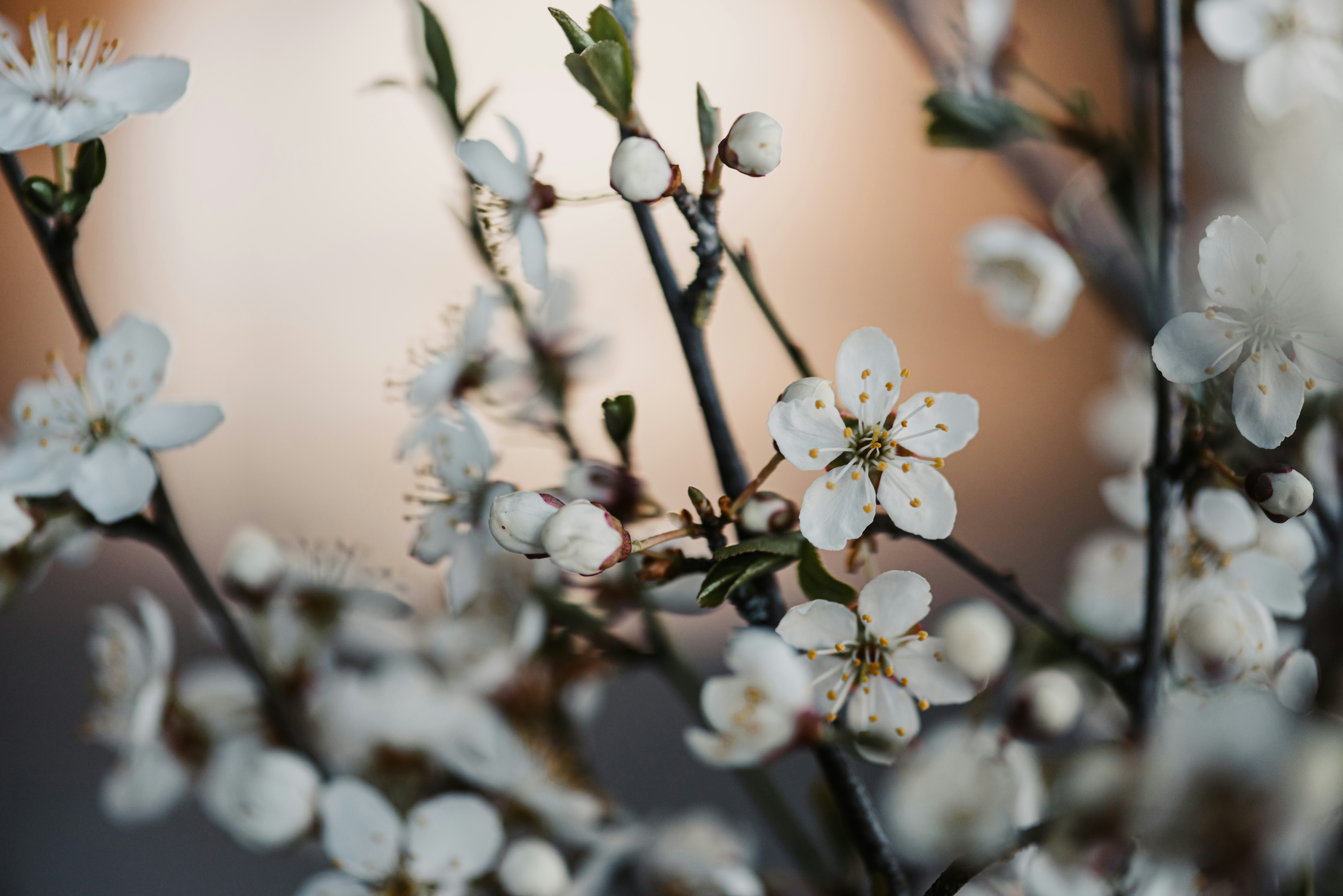 Photo by anitaaustvika