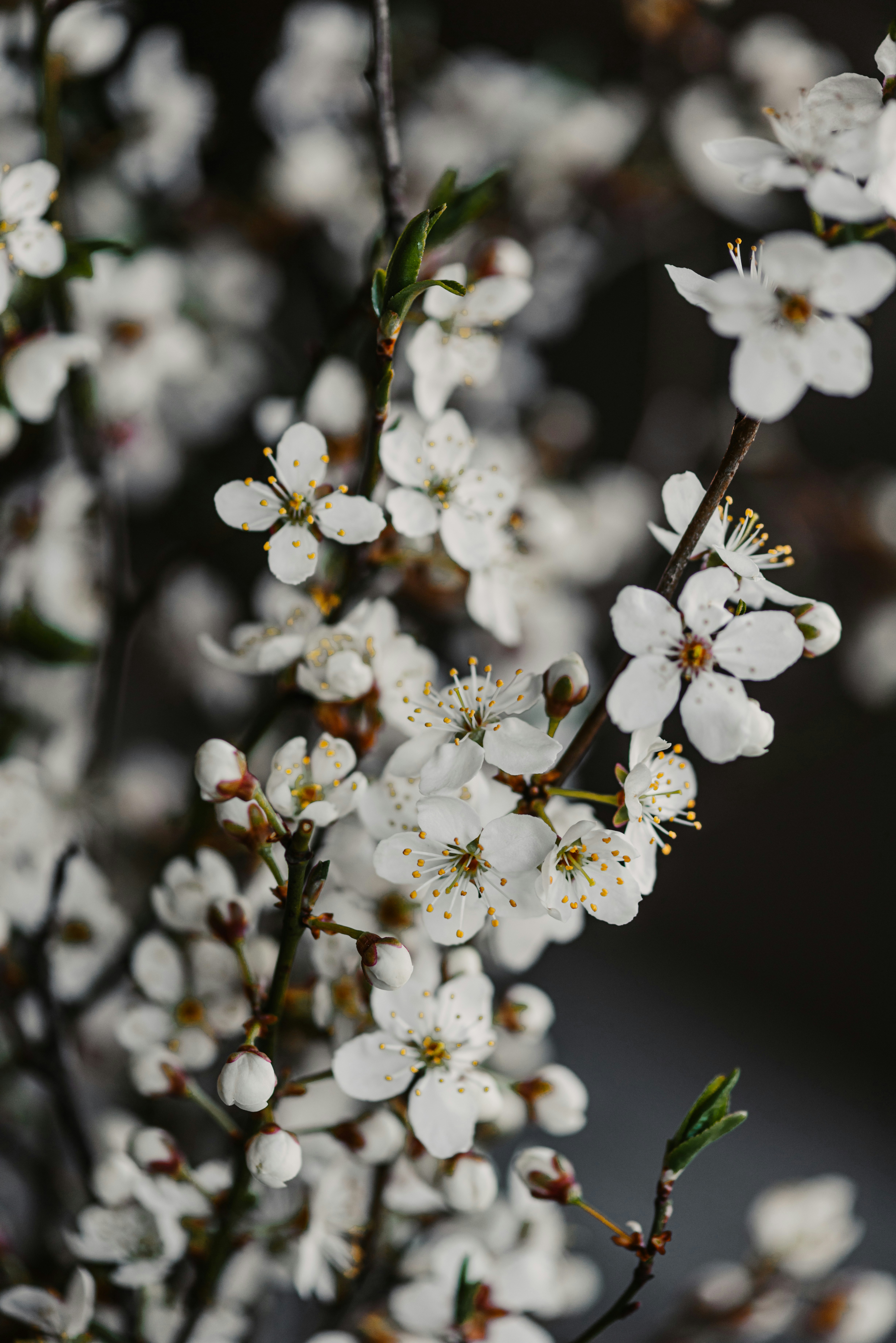 Photo by anitaaustvika