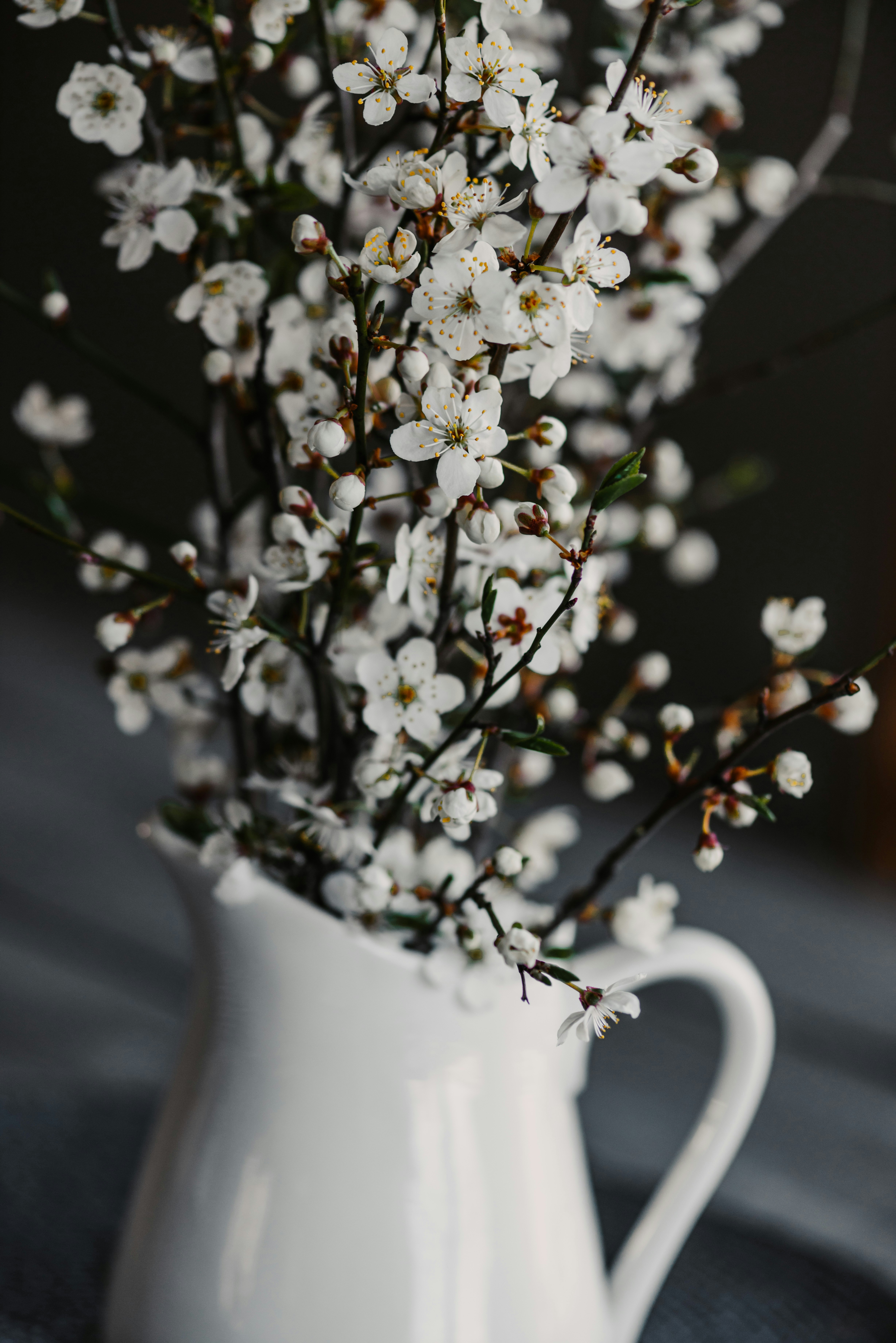 Photo by anitaaustvika