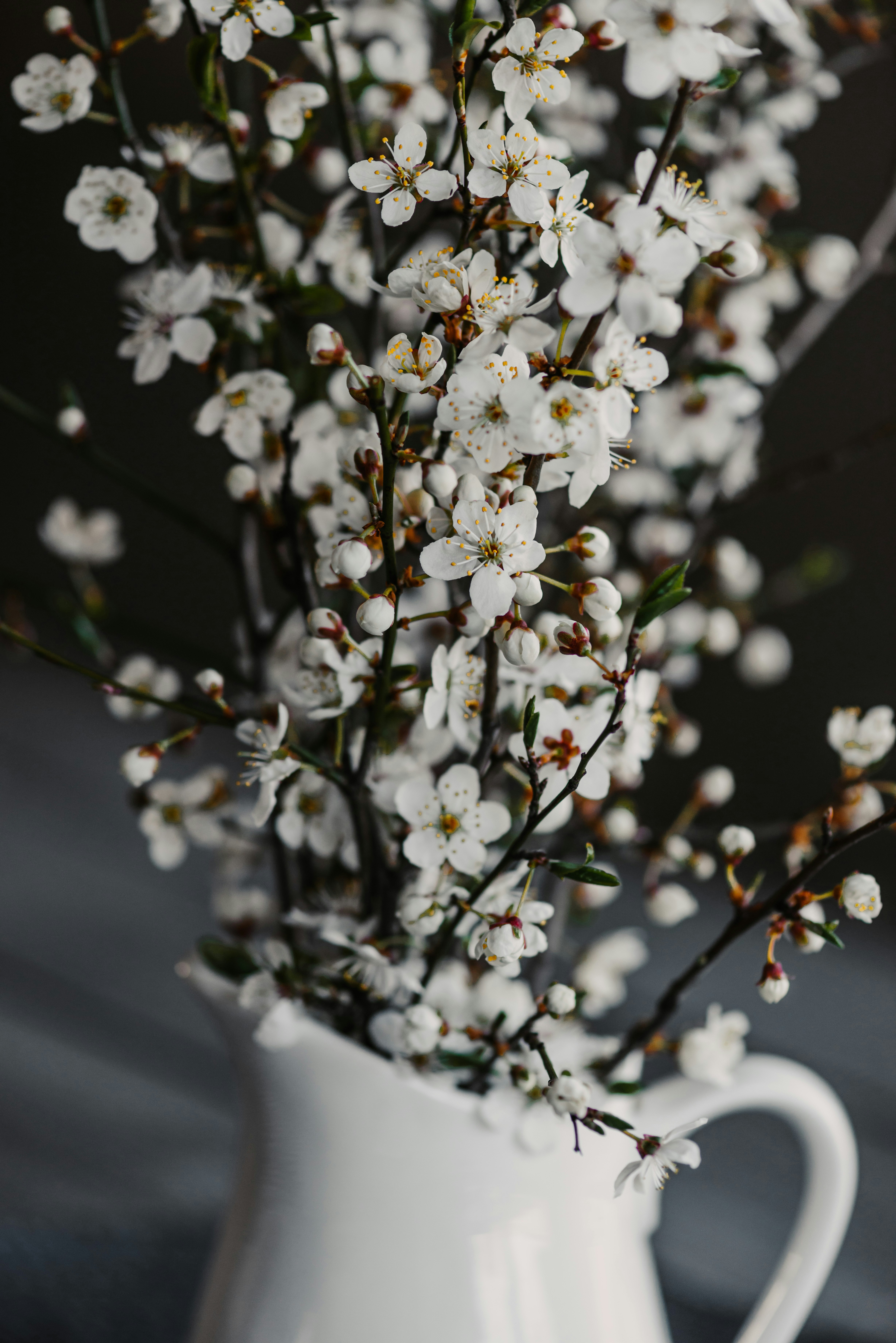 Photo by anitaaustvika