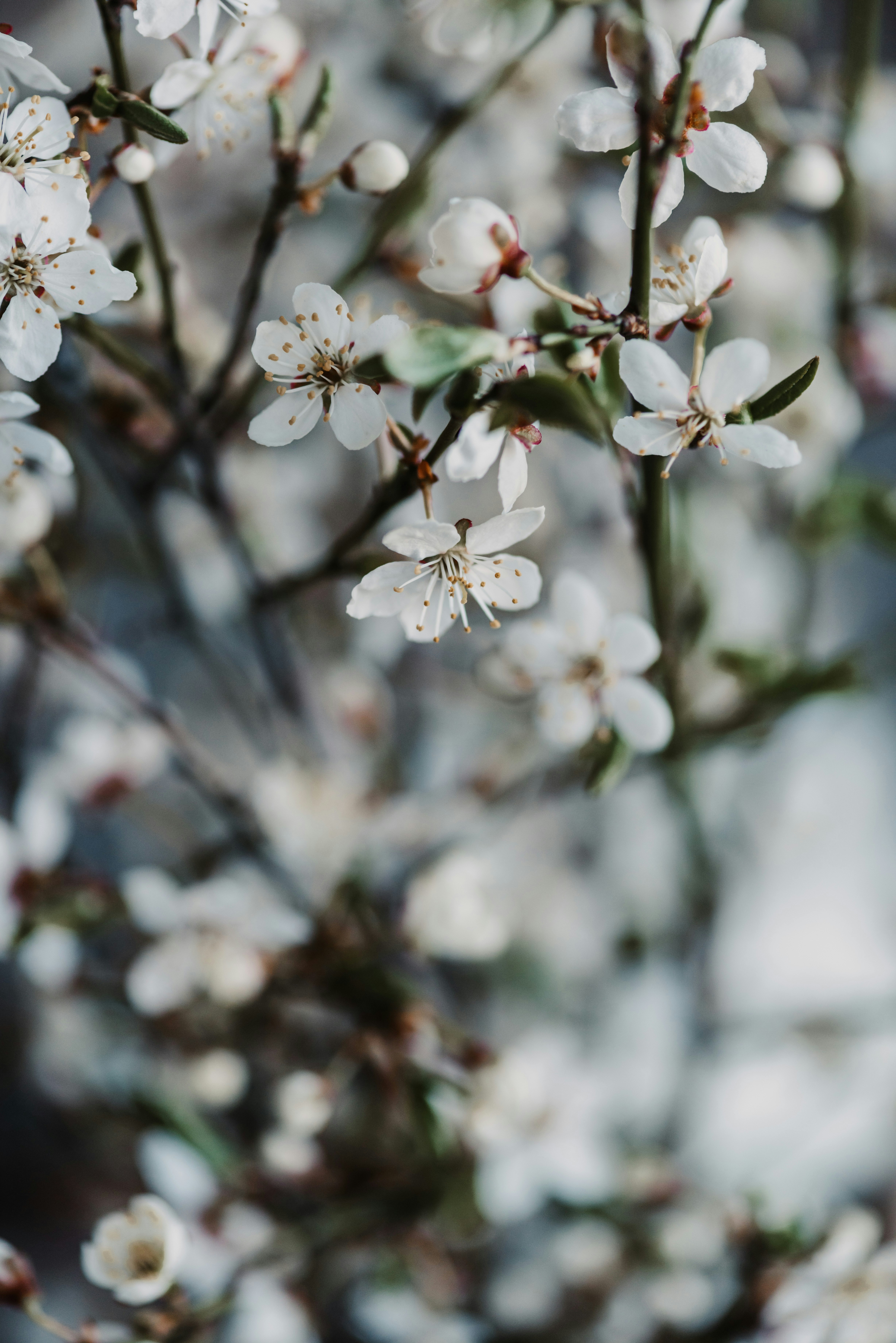 Photo by anitaaustvika