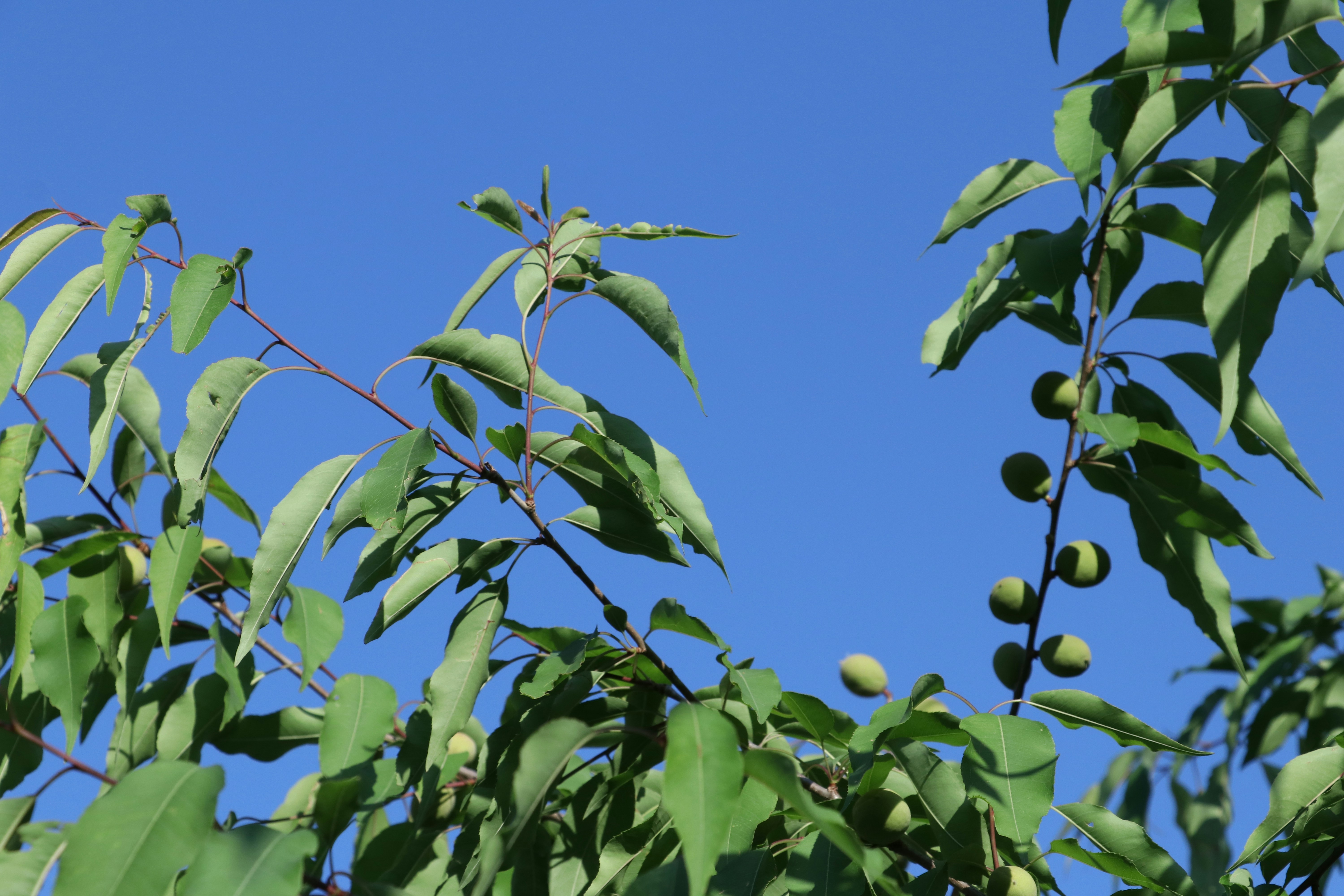 Photo by gale_chujun