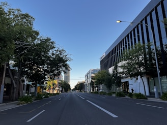 Wide street view of a tree-lined avenue with modern buildings and clear sky.