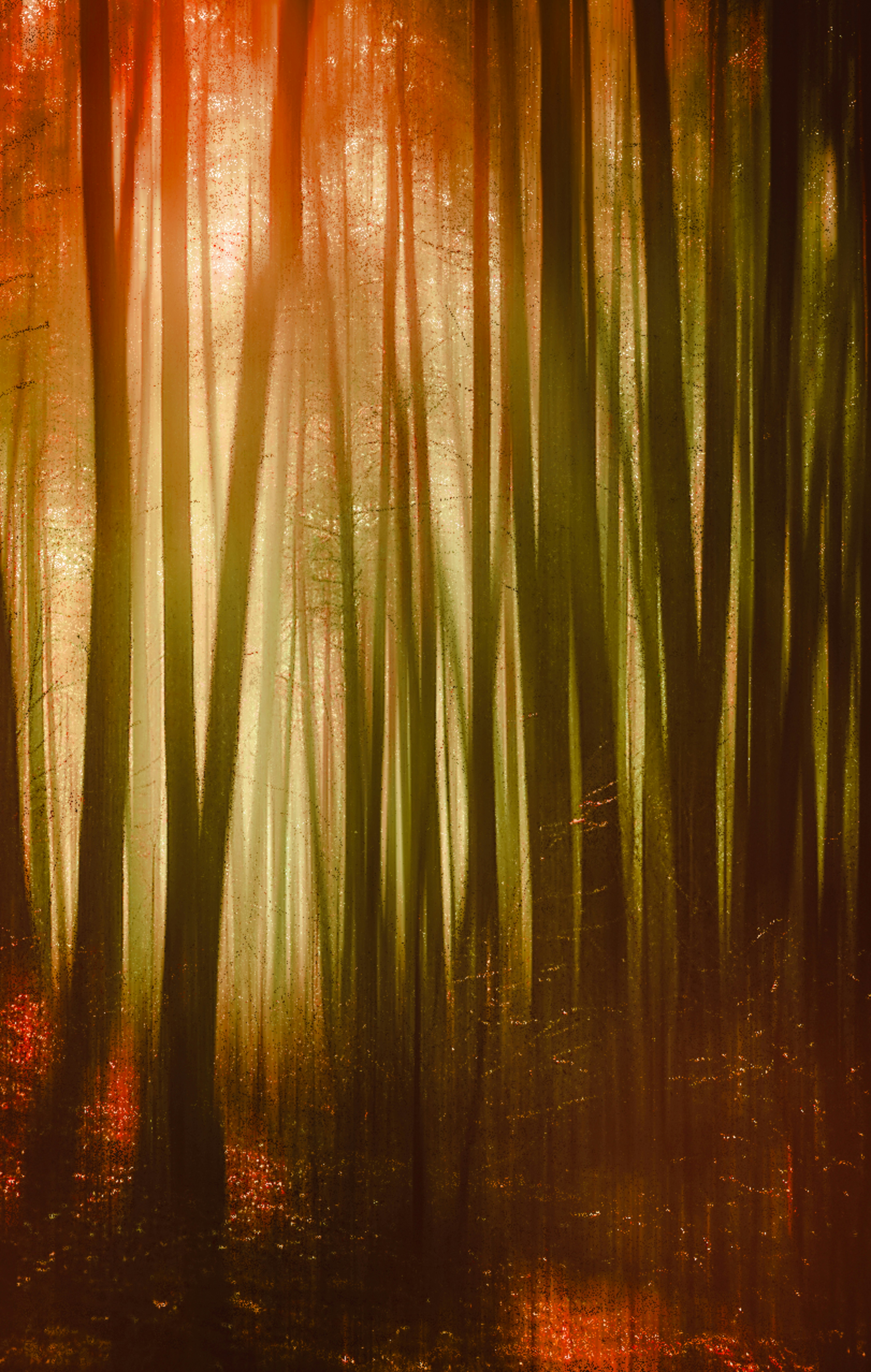 Photo by itsomidarmin