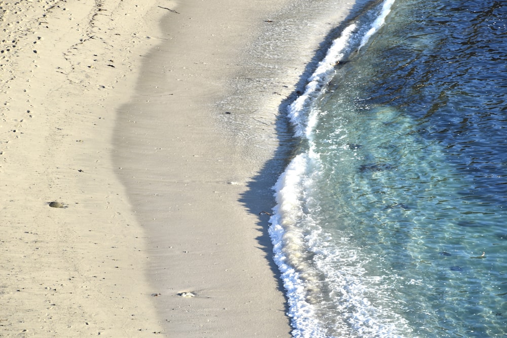 a person walking along a beach next to the ocean