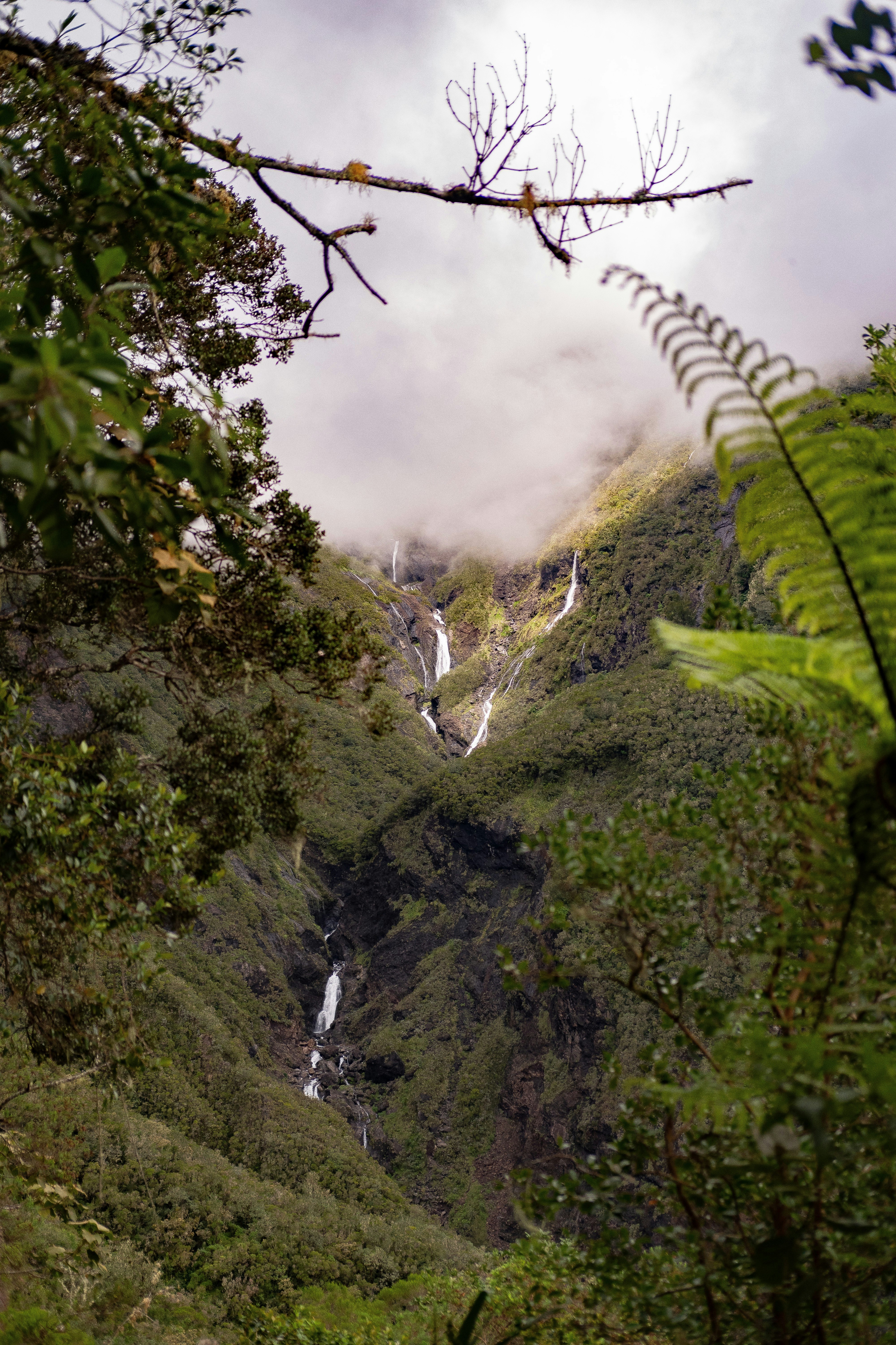 Photo by cosmovisuals