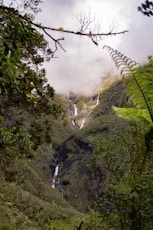 a view of a waterfall in the middle of a forest