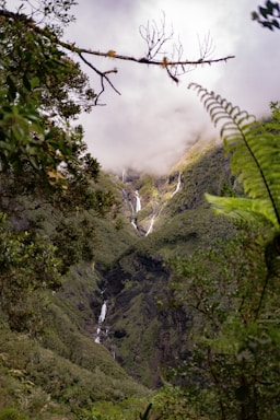 a view of a waterfall in the middle of a forest