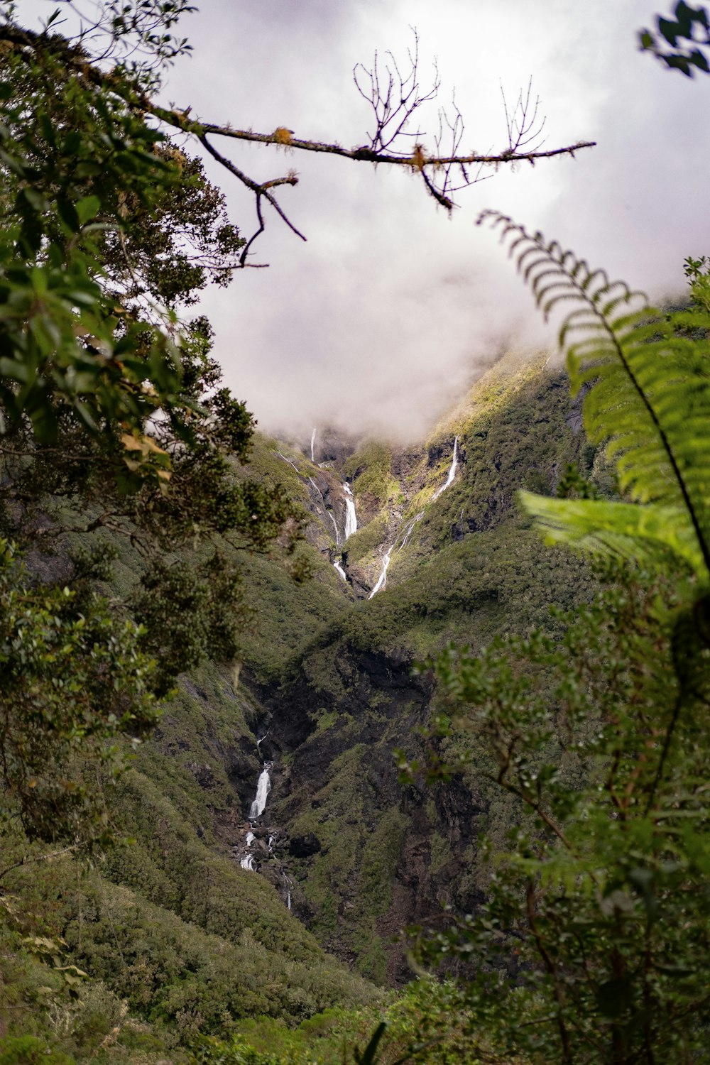 Blick auf einen Wasserfall mitten im Wald