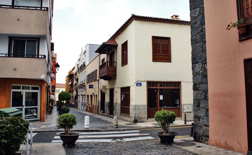 a cobblestone street lined with buildings and potted plants