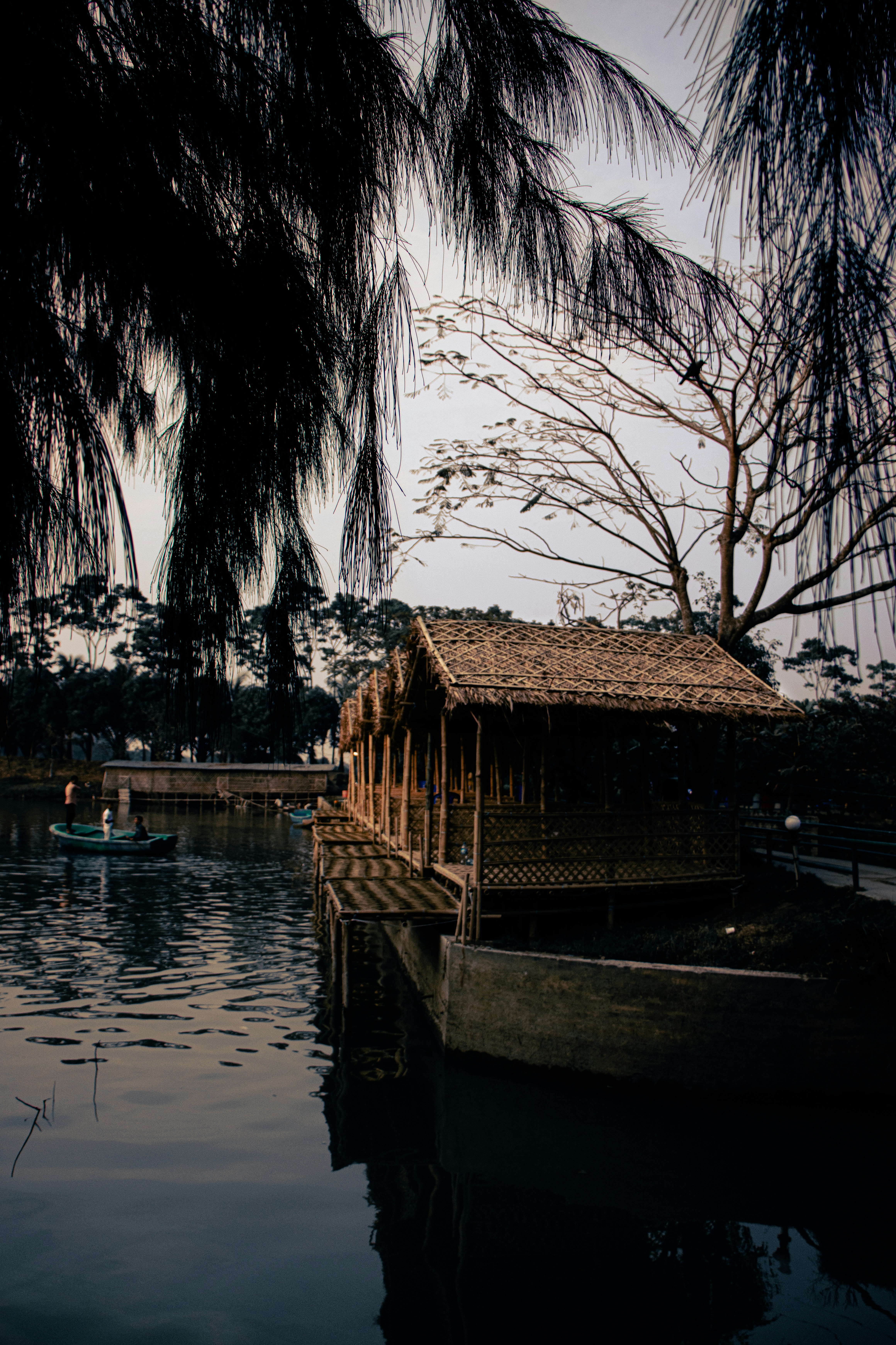 Photo by caprocrook