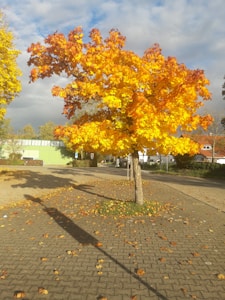 Leaf Blower Pro