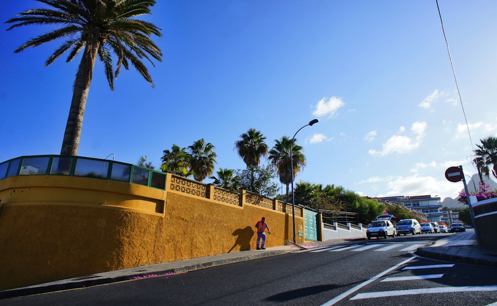 Una persona in piedi sul ciglio di una strada vicino a una palma