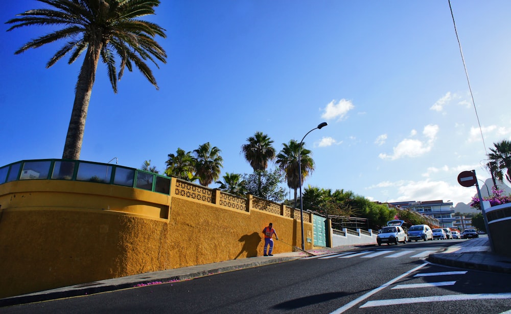 a person standing on the side of a road next to a palm tree