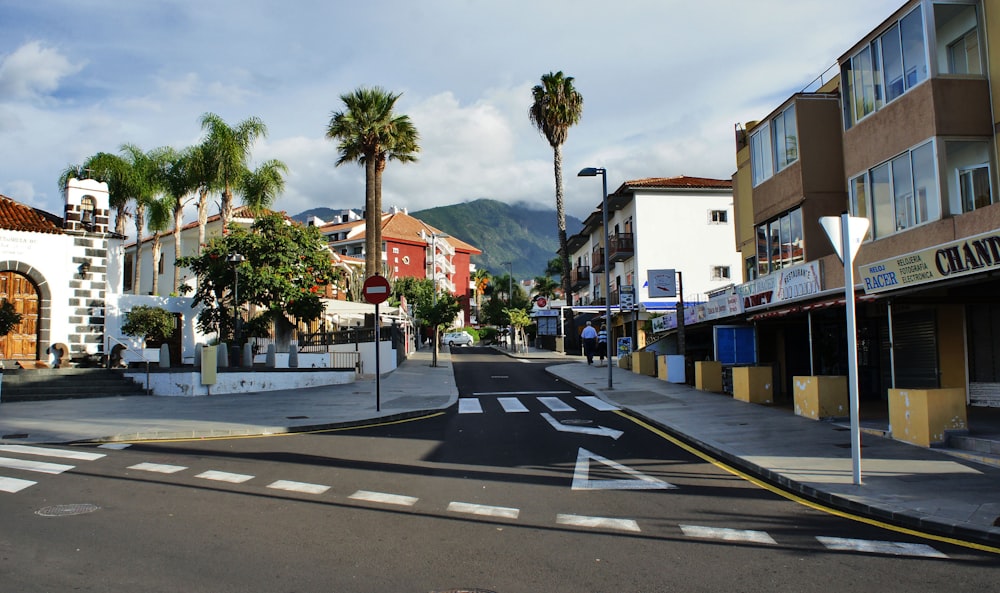 a city street with palm trees and buildings