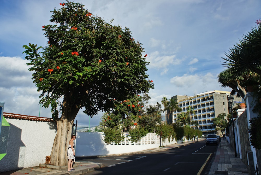 a woman standing next to a tree on the side of a road