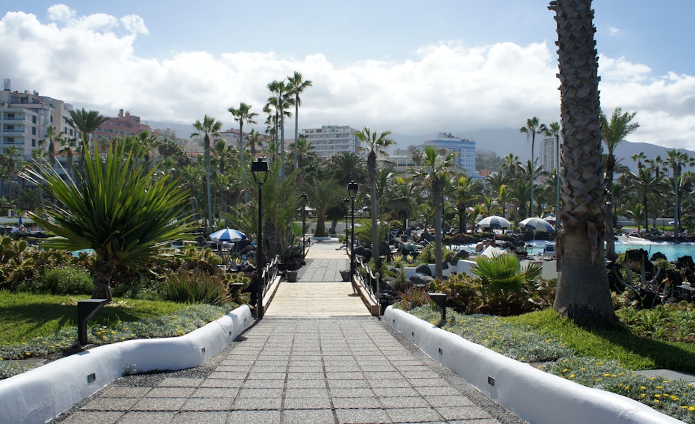 a walkway leading to a park with palm trees