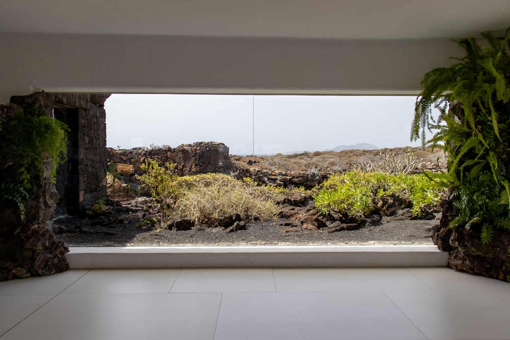 a room with a view of a rocky landscape