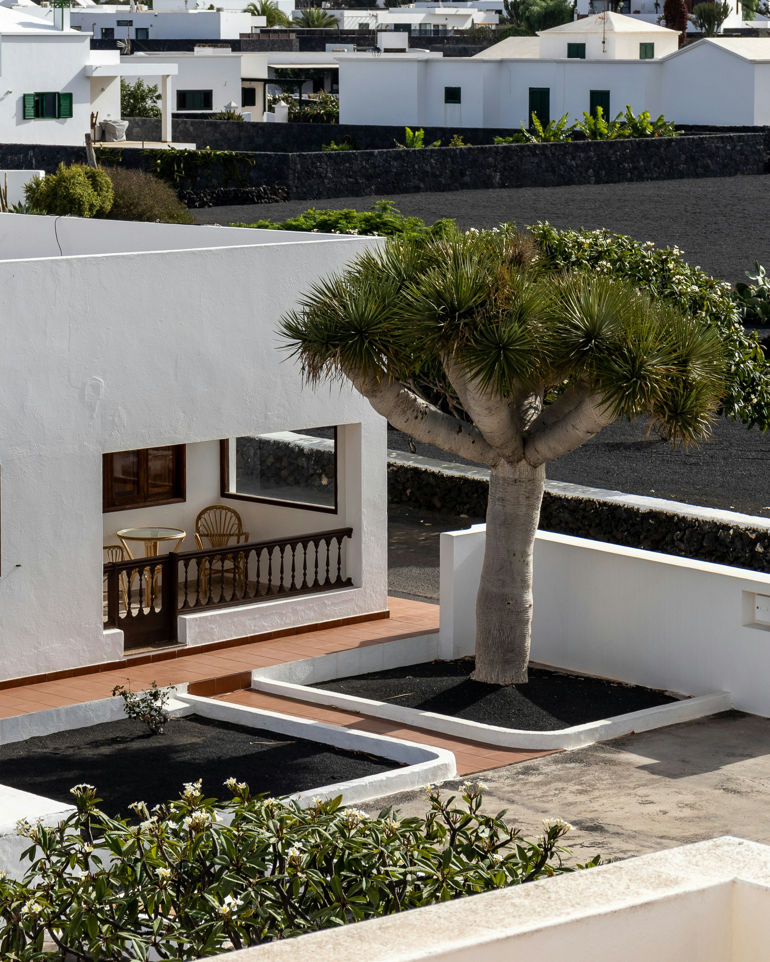 Ein weißes Haus mit einem Baum im Hof