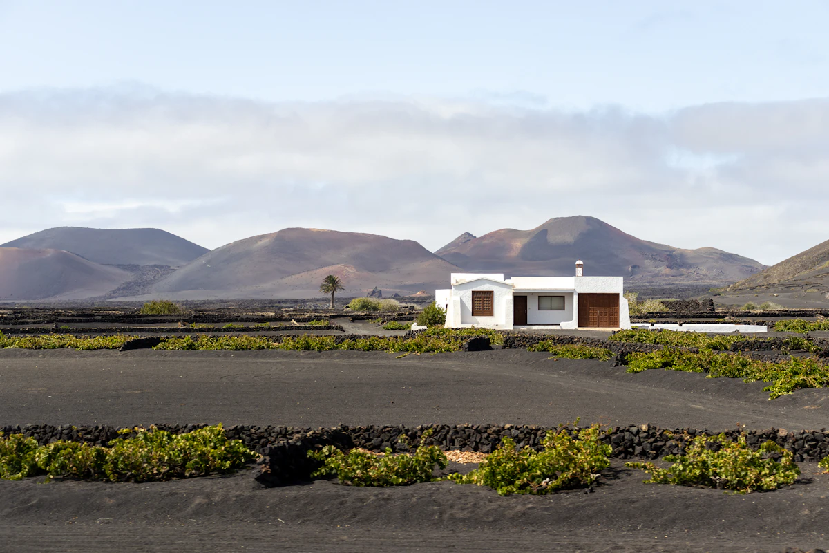 Volcanic vineyards of La Geria, Lanzarote