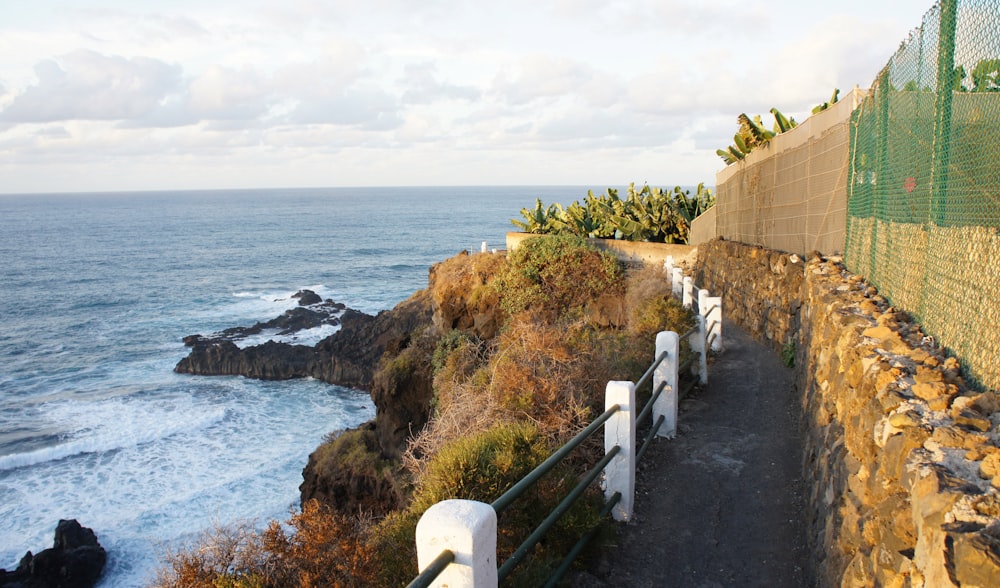 a view of the ocean from a path next to a fence