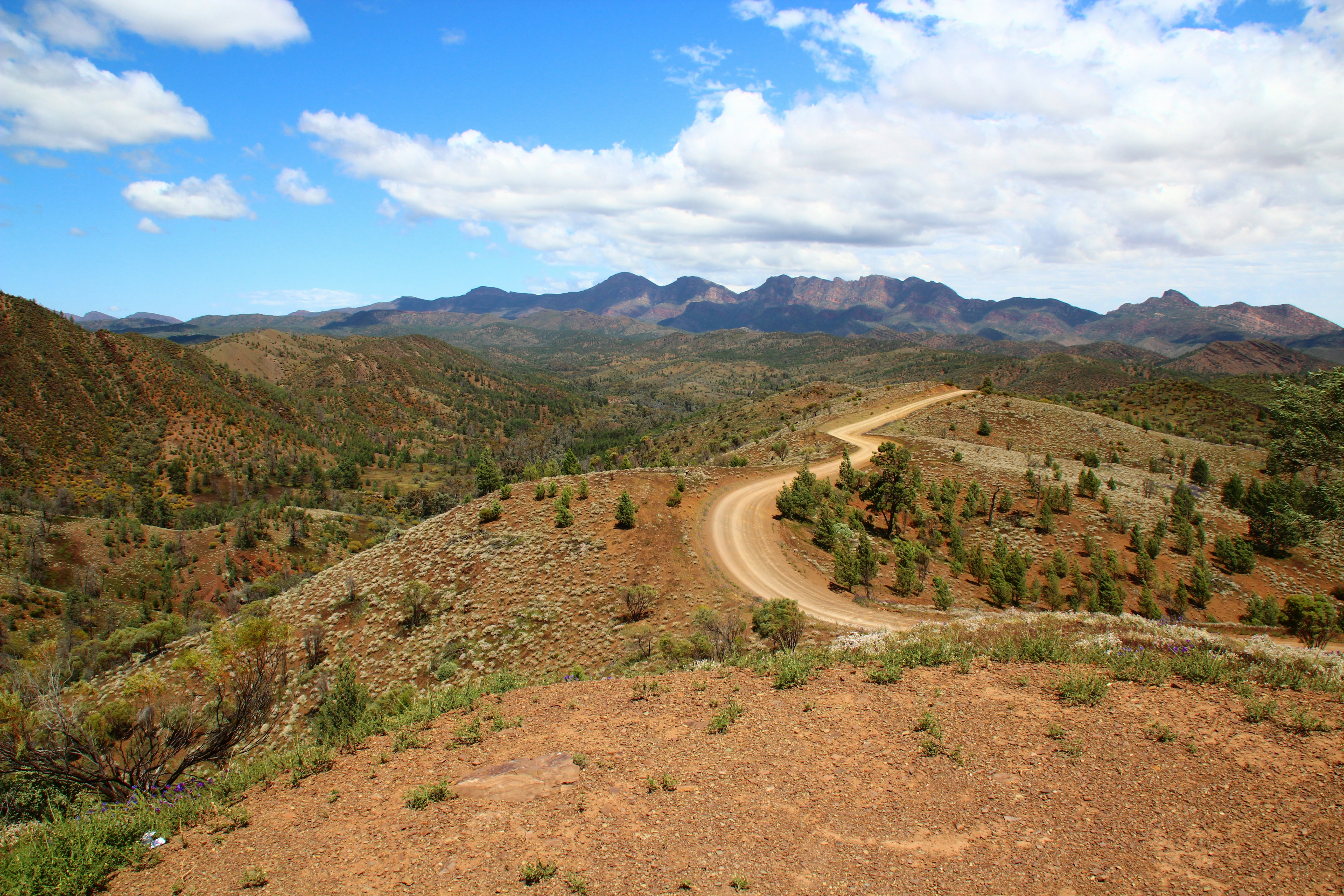 a dirt road in the middle of a mountain range, Razorback Rd Flinders Ranges. South Australian Outback. Dirt road with mountains