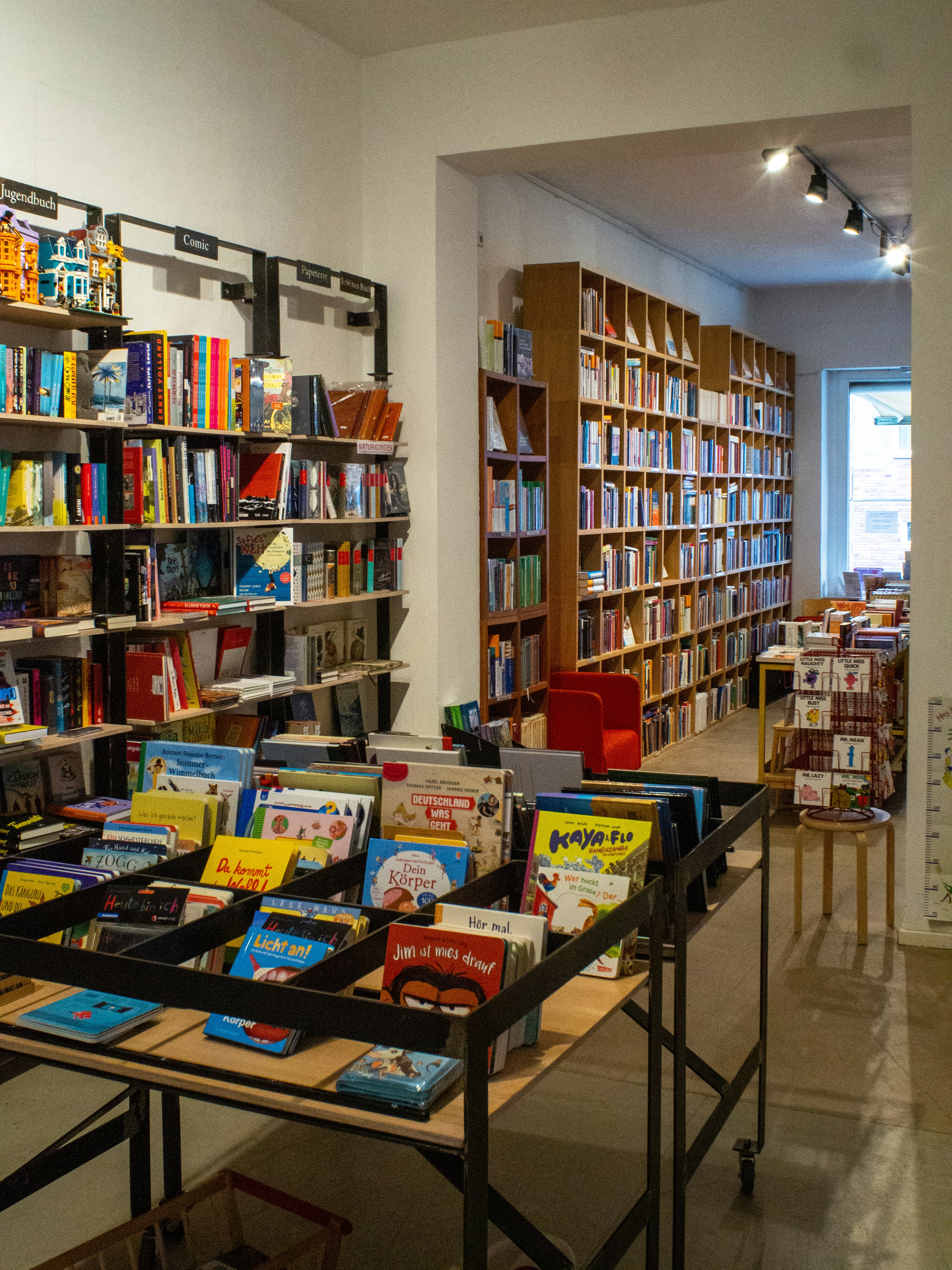Libros y Artículos de Colección
