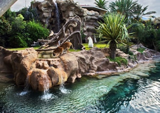 A tiger stands on rocky terrain by a cascading waterfall, surrounded by lush greenery and a clear blue body of water. The landscape includes a sculpture or statue amidst the plants, creating a wild, tropical atmosphere.