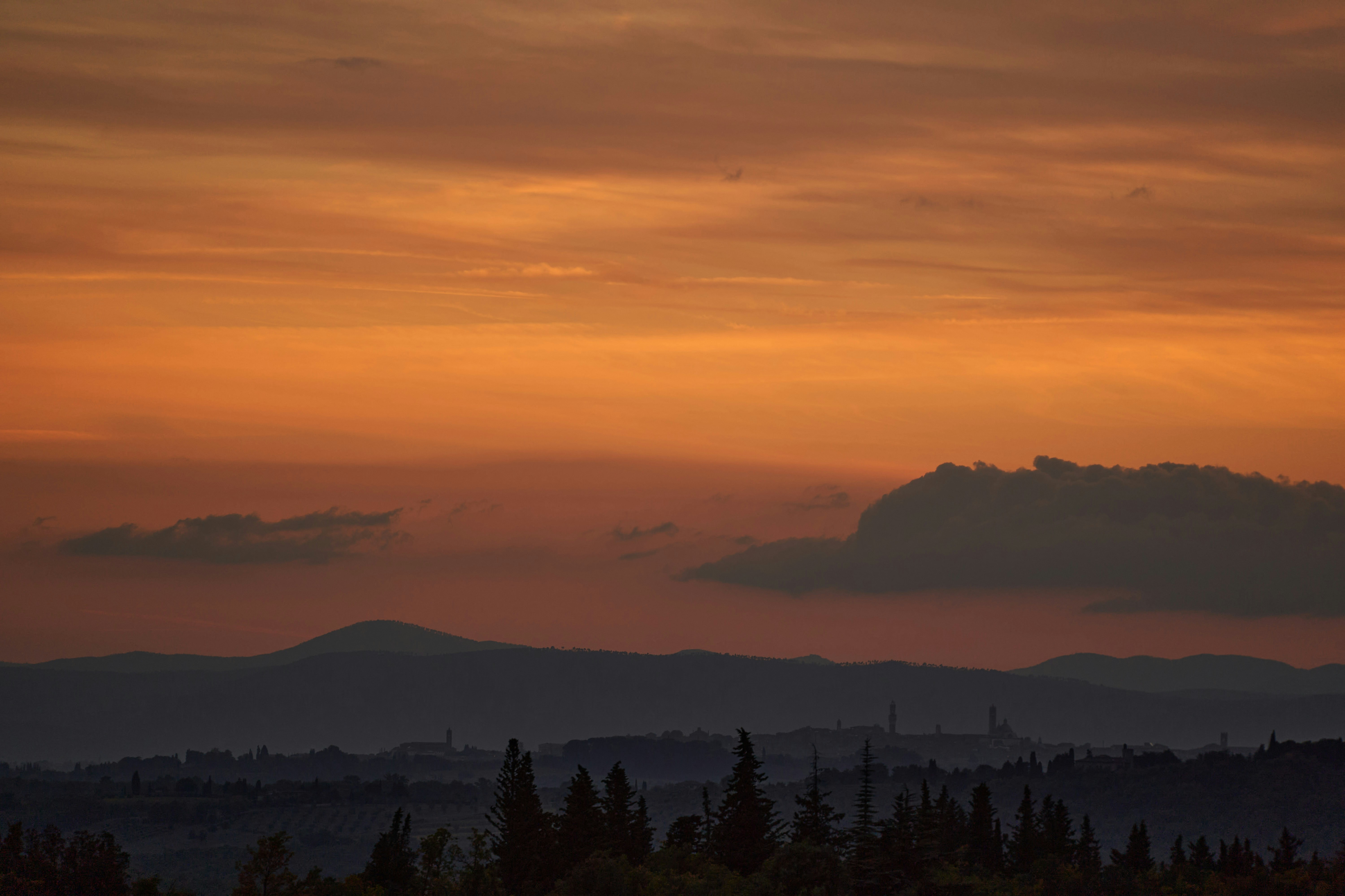 Photo by wolfgang_hasselmann