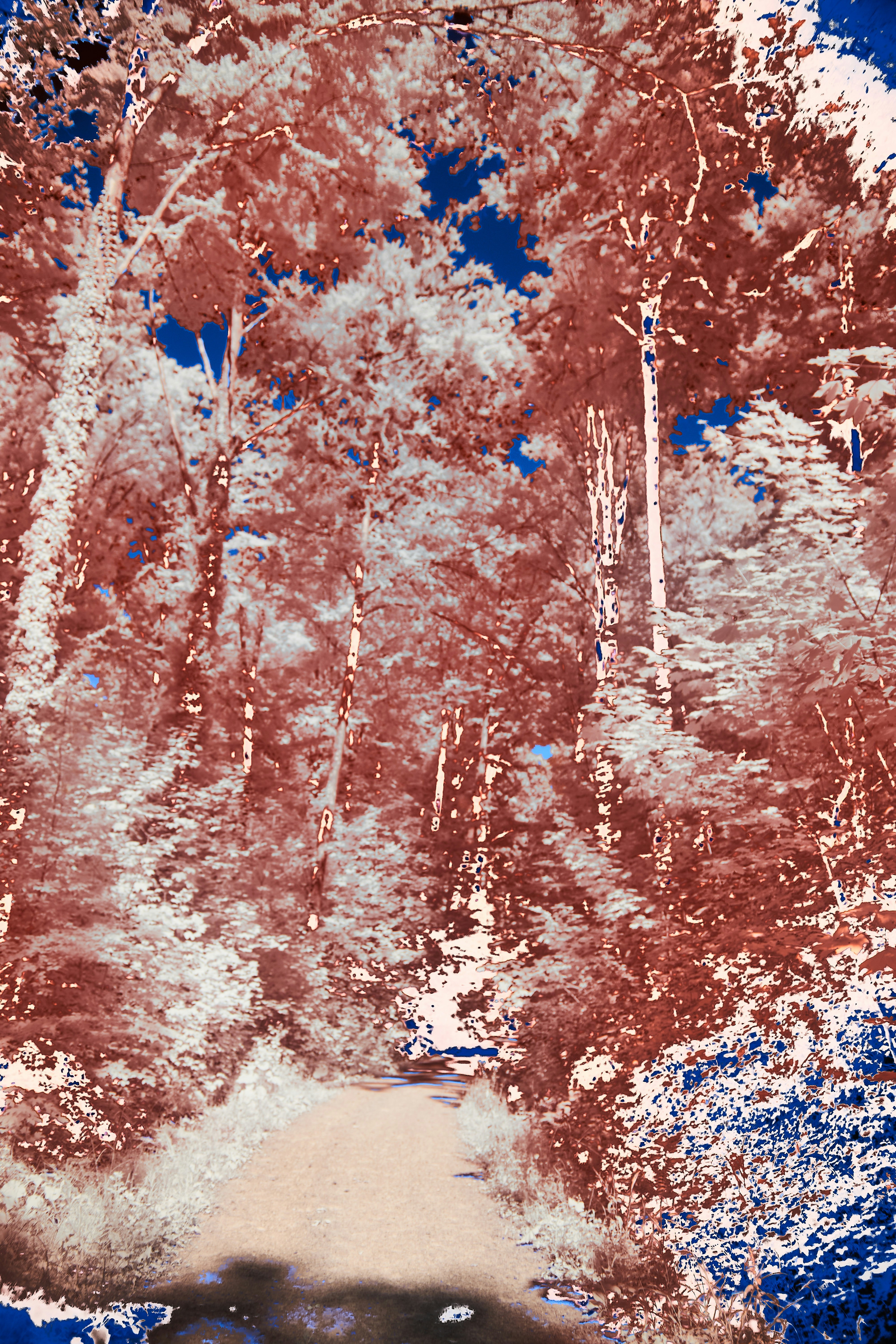 Photo by wolfgang_hasselmann