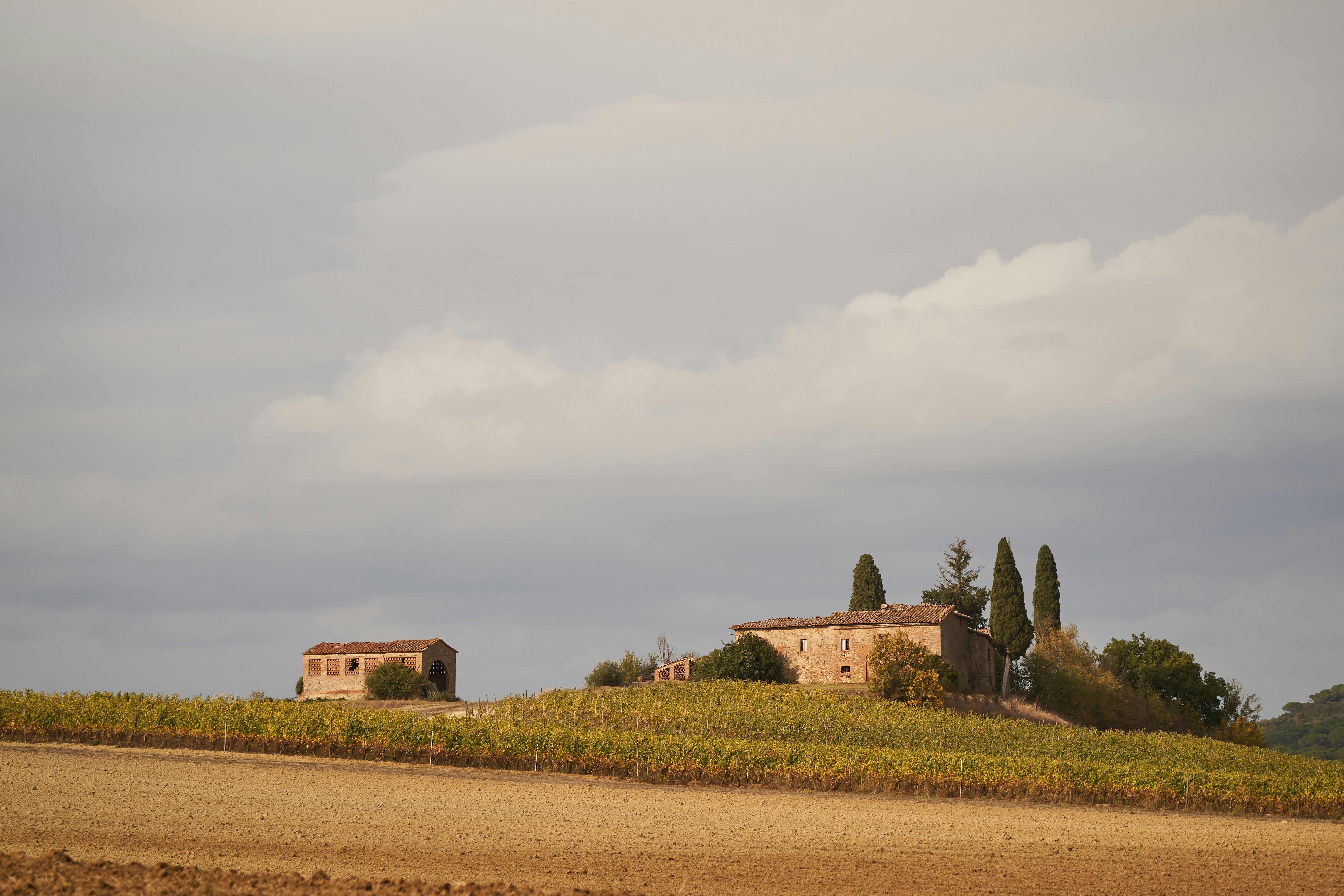 Photo by wolfgang_hasselmann