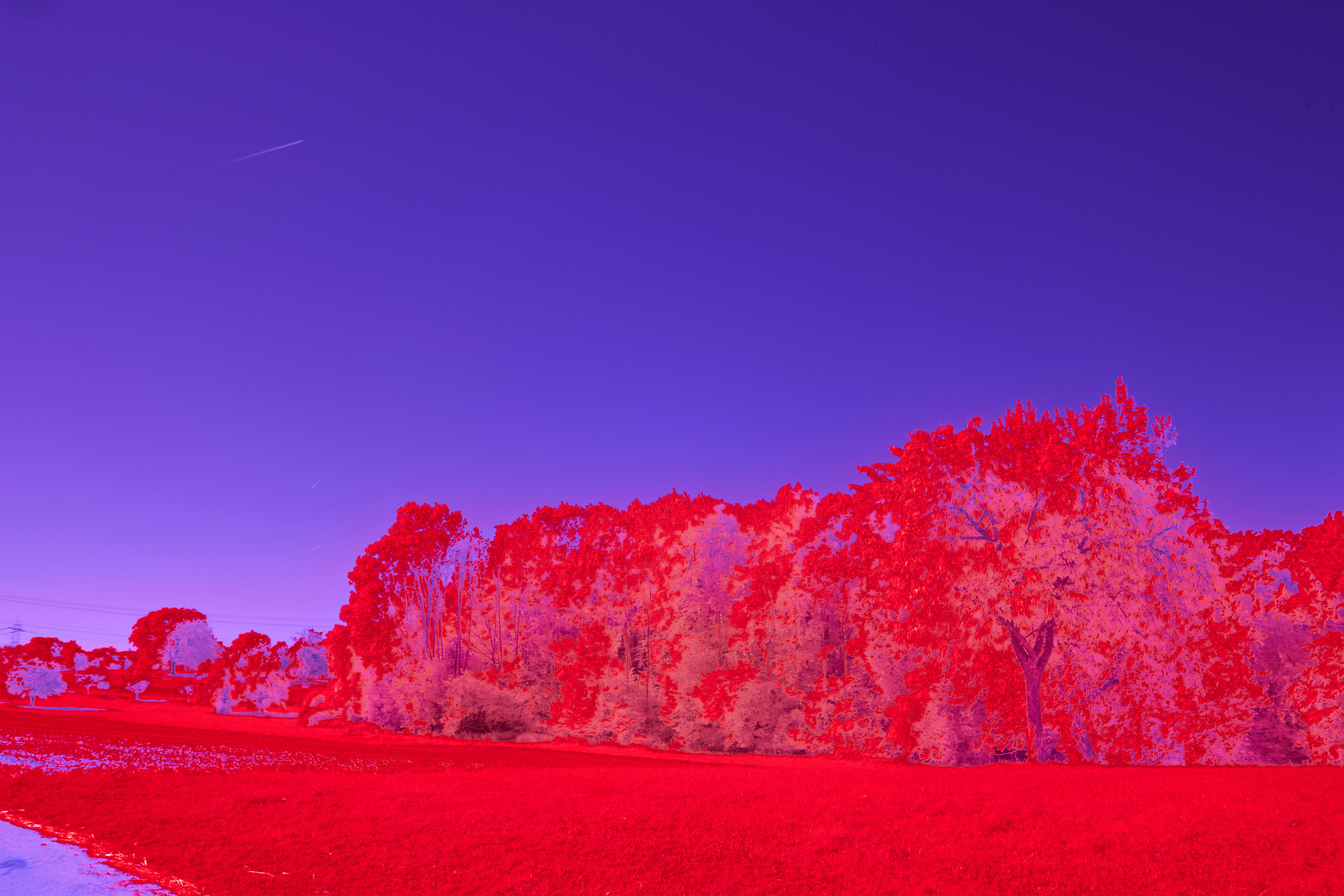 Photo by wolfgang_hasselmann