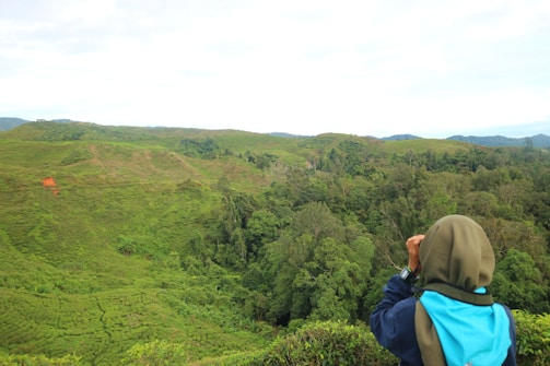 A person wearing a brown hood and a blue backpack is looking through binoculars towards a vast, lush green landscape with rolling hills and dense forest. The sky is overcast with some bright areas.