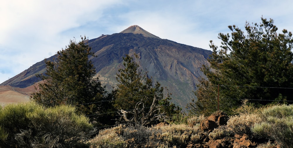 une vue d’une montagne avec des arbres au premier plan