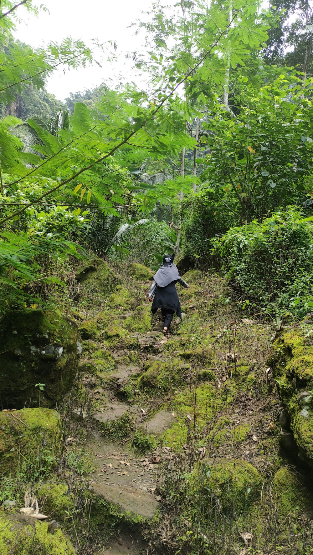 a person walking up a trail in the woods