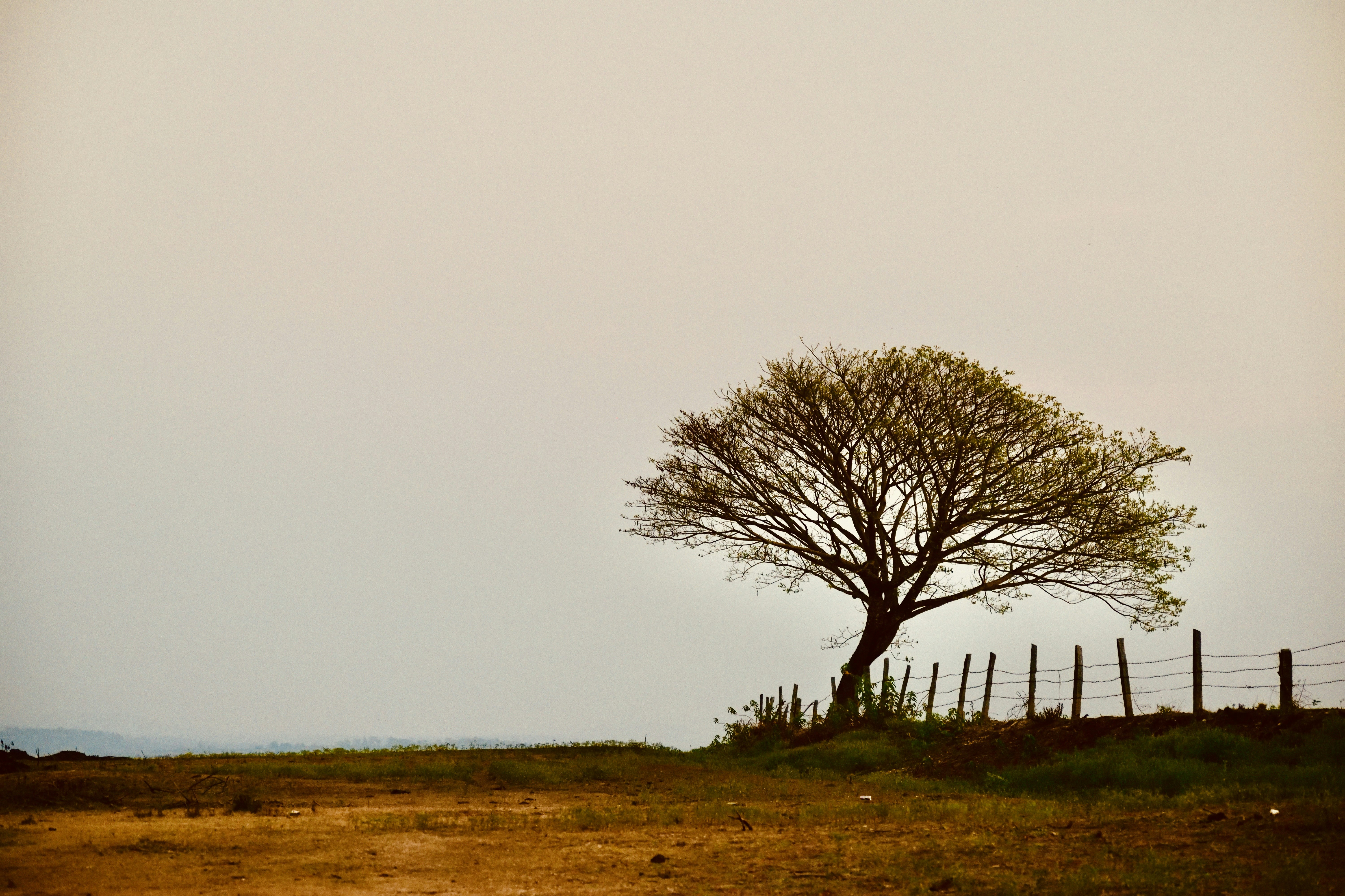 Photo by vivekkkaushik