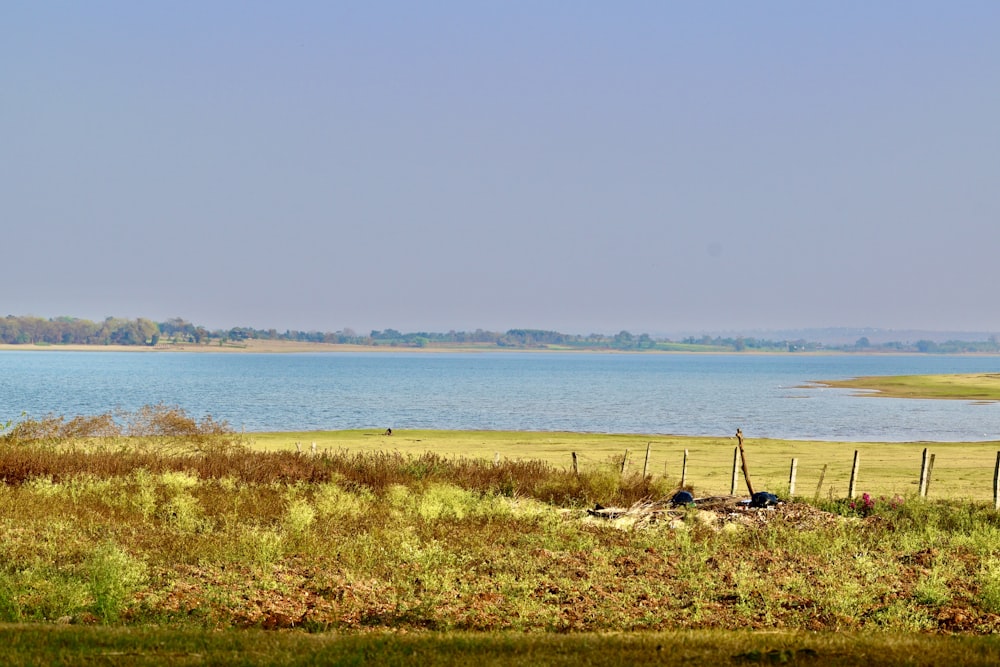a large body of water sitting next to a lush green field