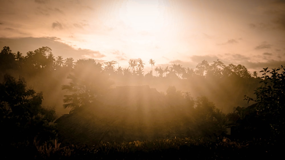 the sun is shining through the clouds over the trees