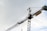 A large construction crane is captured against a cloudy sky. The crane is built with a lattice framework and features a prominent yellow sign with the word 'Azvi' on it.