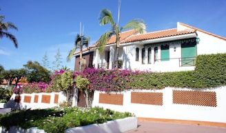 A picturesque Mediterranean-style house with white walls and terracotta roof tiles. Lush greenery and vibrant bougainvillea adorn the garden. Palm trees and hedges contribute to the tropical feel, while clear blue skies enhance the serene atmosphere.