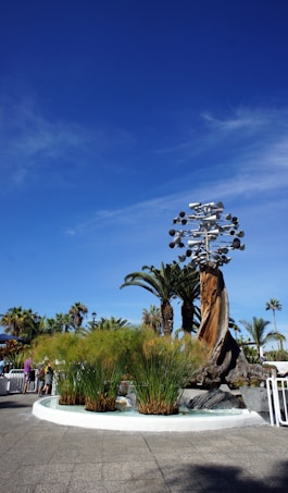 A modern art sculpture made of metal and wood stands prominently in an outdoor setting, surrounded by lush green plants and palm trees. The sculpture features spherical elements and is set against a clear blue sky, with people visible in the background, providing a lively and sunny atmosphere.