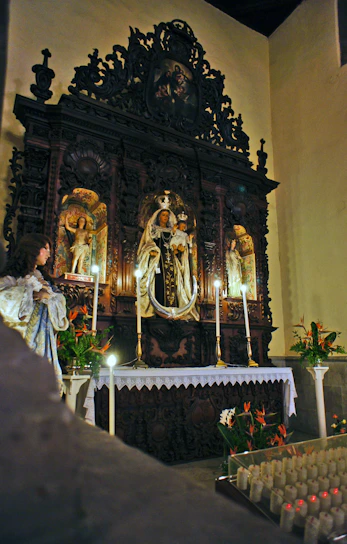 A serene display of various Catholic statues and icons arranged on a softly lit altar.