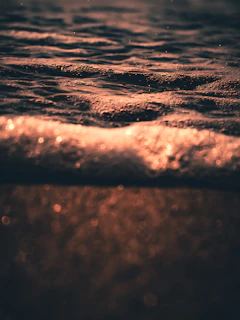Soft waves styled with a subtle gold highlight catching the light