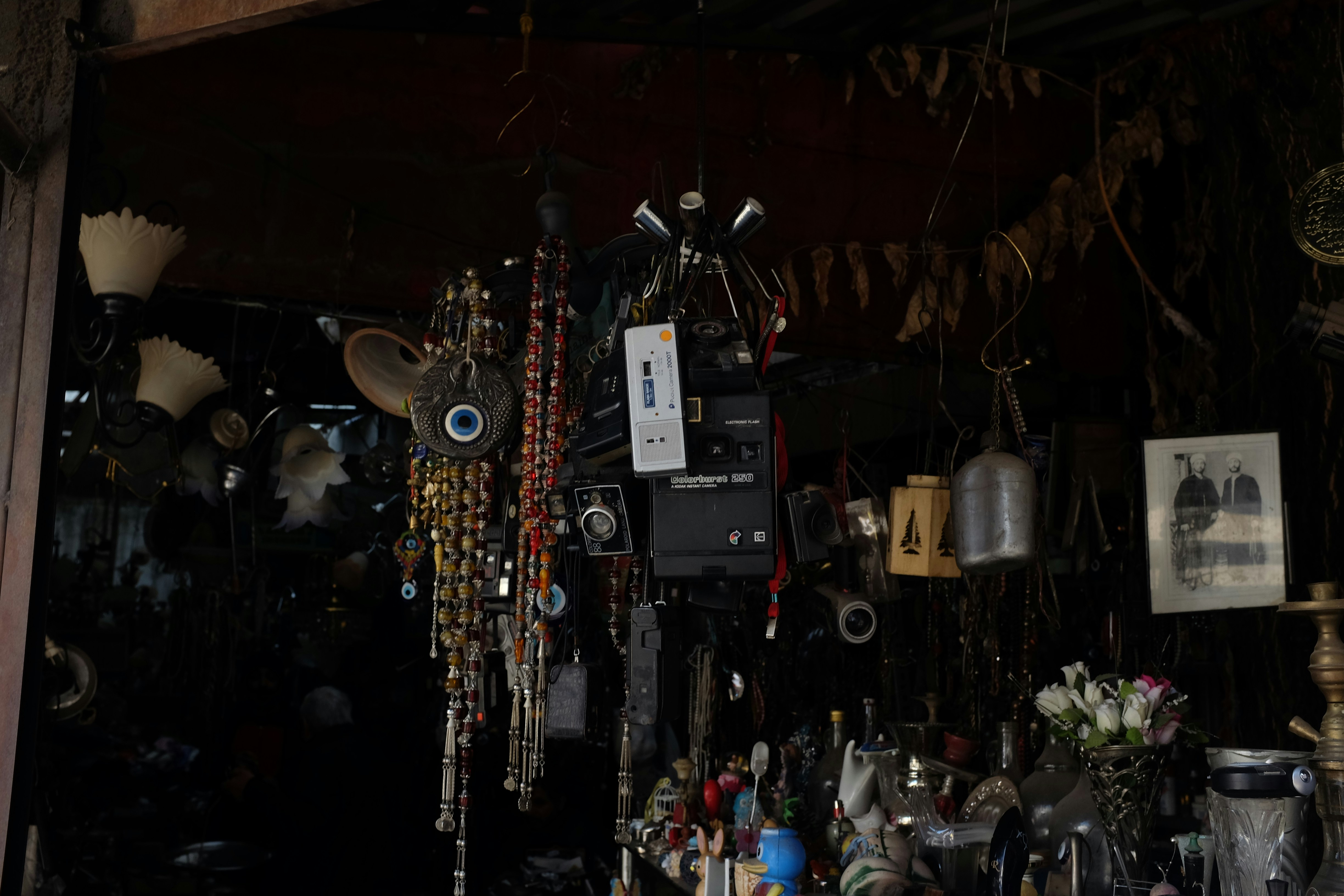 Photo by ignatkushanrev