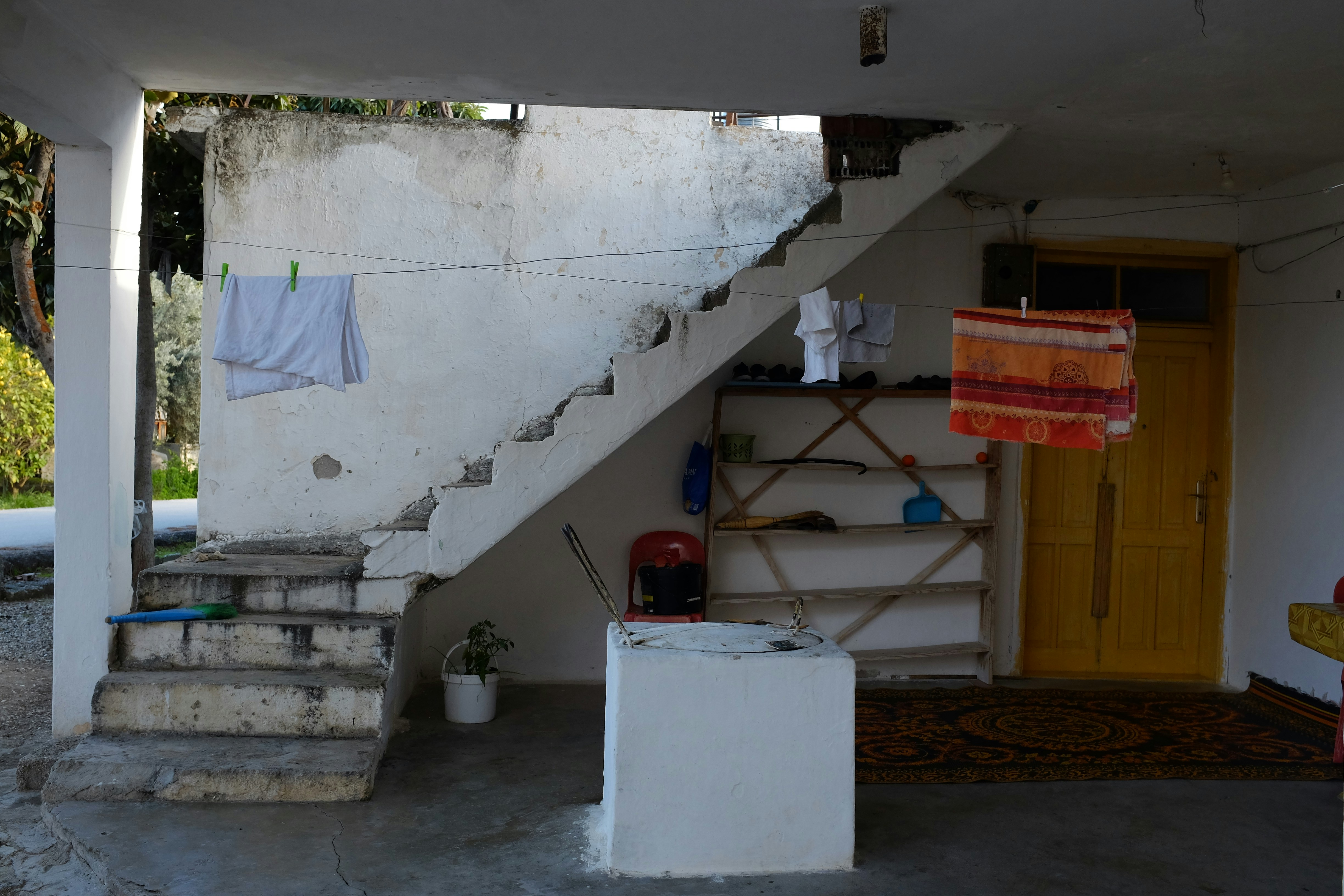 Photo by ignatkushanrev